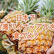 【2022年も台湾パイナップルを食べよう 】今年も日本で買える場所をみんなで共有しよう！！ 台湾パイナップルを食べよう 台湾パイナップル パイナップル みんなで台湾パイナップルを食べよう 鳳梨 アテモヤ 台湾アテモヤ鳳梨釋迦