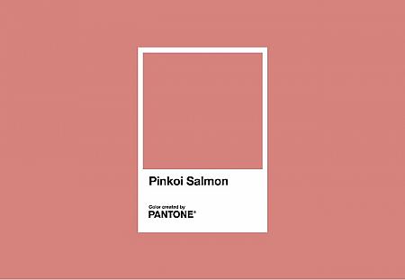 Pinkoi Salmon(Pinkoiサーモンピンク)はパッションが溢れる色。率直なメッセージを伝えながら、私たちの心を温めてくれます。