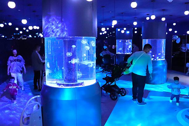 熱帯魚の展示スペース。施設ではサンゴの復活活動にも取り組んでいます