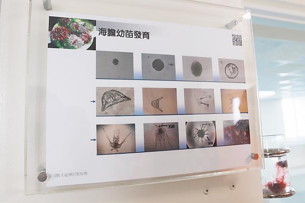 展示は中国語ですが、写真やイラストが使われているので、深くは無理でも浅くなら理解できそう。