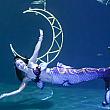 【花蓮観光】花蓮の「遠雄海洋公園」で人魚姫のショーにくぎ付け♡ 遠雄海洋公園 人魚 ジュゴン 花蓮観光花蓮旅行