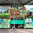 このマーケットでは、オーガニックの農産品が数多く出品されています。<br>産地直送のレンブ、バナナ、パイナップルなどなど。<br>今回はマンゴーも少しありましたよ～。
