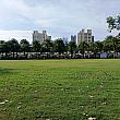 公園を遠くから見たところです。道の左右にたくさんの屋台が並んでいますが分かりますでしょうか？