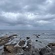 当日のお天気は午後から雨の予報。朝9時からのスタートだったので温度もそこまで上がっておらず快適