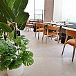 残念ながらカフェからは台北101を見ることはできませんが、1階の通りに面した場所にあって採光抜群だから気持ちいい♡テラゾーの床と観葉植物が室内にいながらにしてアウトドアを感じさせてくれる都会のオアシス的空間です。