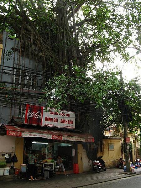 ベトナム風ピロシキ、バイン・ゴイの有名店。