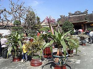 庭は広く、中国式庭園となっています。