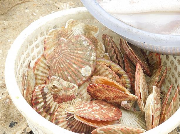 貝類も豊富にとれます。油とガーリック味で焼くのがベトナム流。