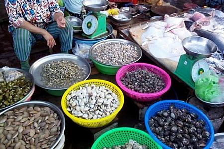 ベトナム人が大好きな貝類が豊富