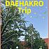 大学路ツアー『DAEHAKRO Trip』に参加してきました!