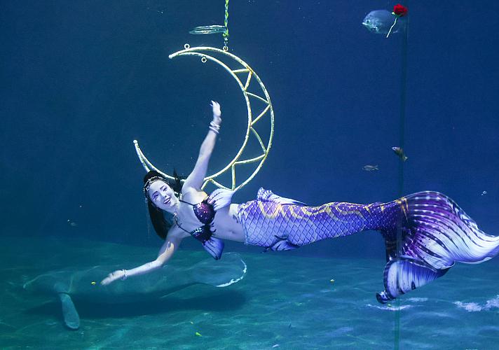 人魚の楽園 Blog_80017706_thumb712x500_174