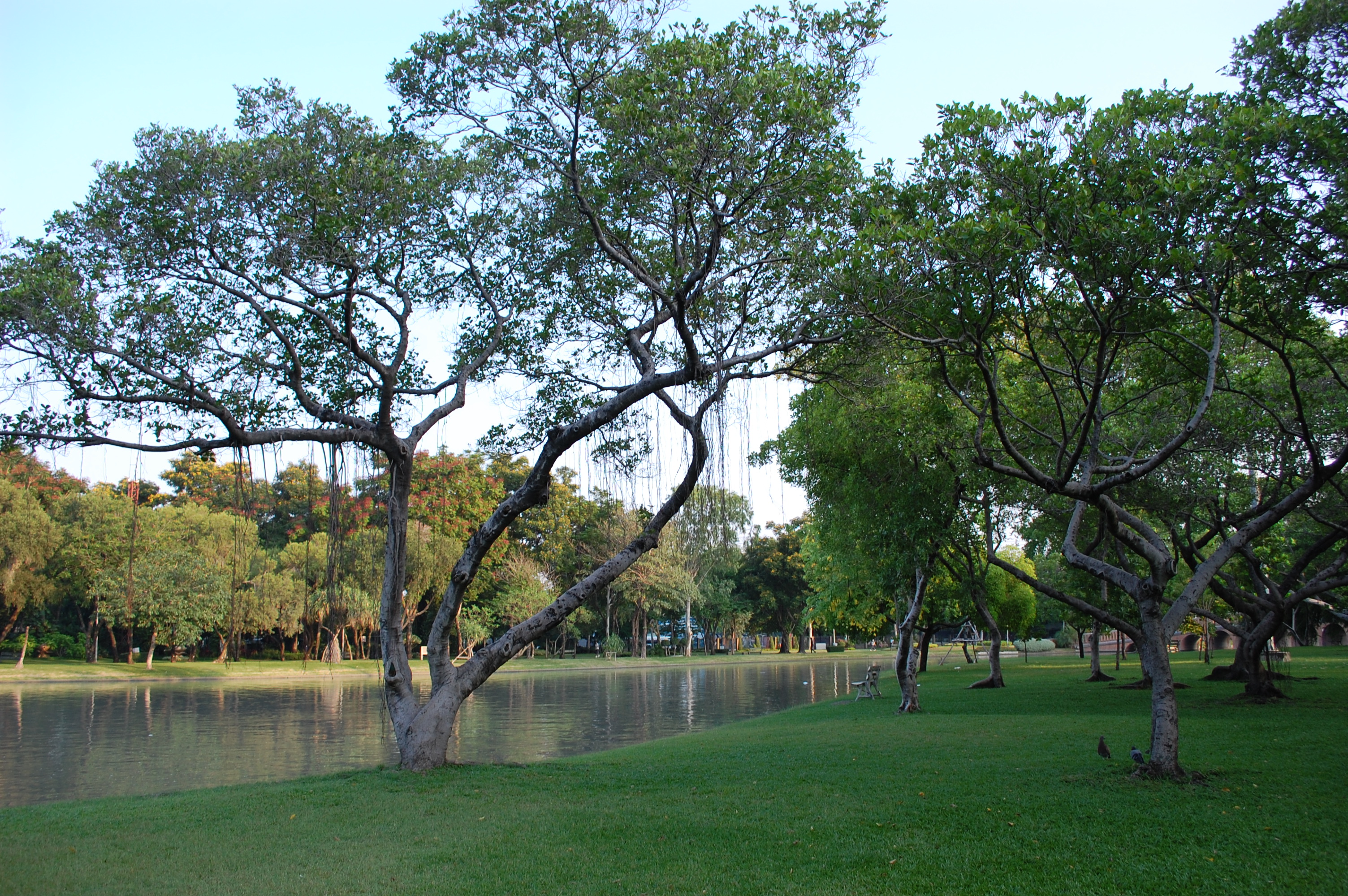 6月のタイ バンコク 13年 バンコクナビ