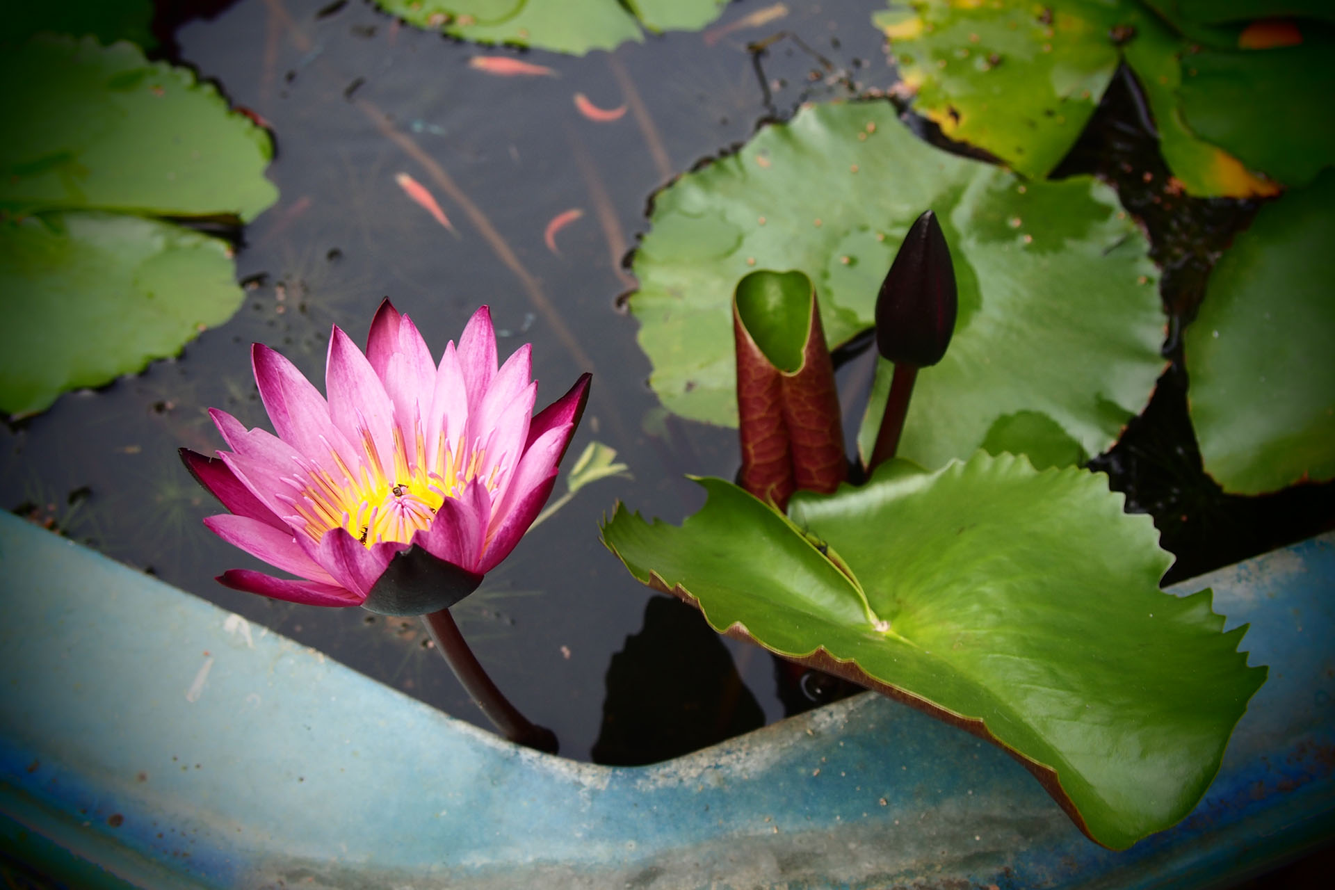 3月のタイ バンコク 15年 バンコクナビ