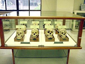 シリラート死体博物館
