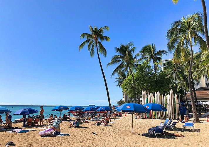 お砂がやってきた！ | ハワイナビ