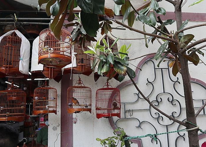 Blog_80014190_thumb712x500_165