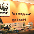 パンダショップ（WWF）