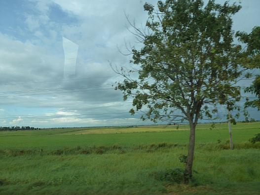 車窓は美しいチャオプラヤ平野