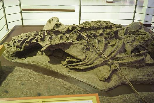 恐竜化石のほぼ全体が発掘された例。