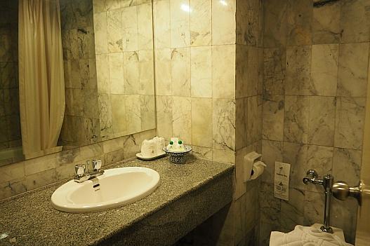 浴室、洗面所周りは広い。バスタブはあるが固定シャワー。