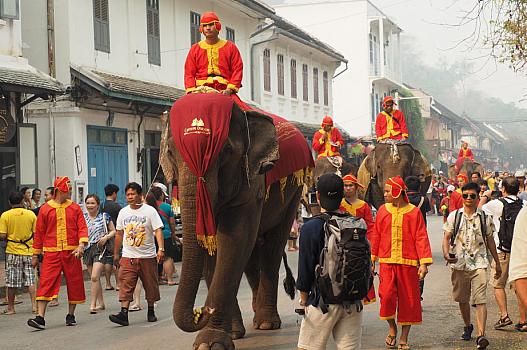 4月13日朝は象のパレード。