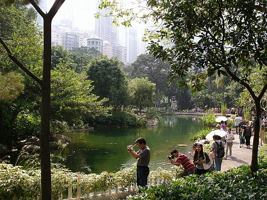 初めて香港公園に行ってみました。自然が沢山で、みなさんゆったりした時間を過ごしていました。