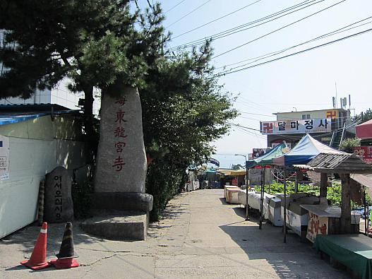 だれも居ない参道