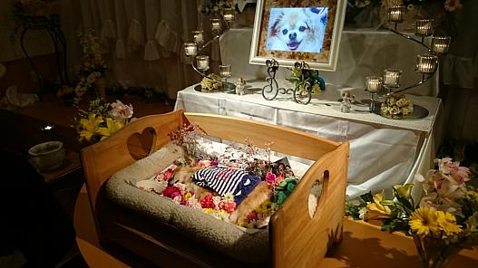 ペット葬儀用の布団オ－ダ－メ－ド