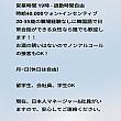 ベアーツリーパークミュージーアム（世宗市）