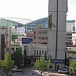 ホテルからの景色。　イナゴにびっくり！