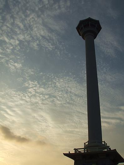 夕方は美しい写真がとれる時間ですね。