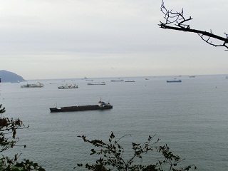 岩南公園の散策道からの風景

沢山の船が停泊してます。