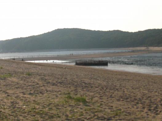 実尾島の風景