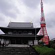 Tokyo tower and temple
Good