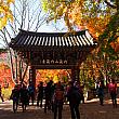 内蔵寺一柱門。