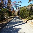 梵魚寺の山門までの参道