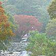 　北漢川の渓谷です。所どころ紅葉が始まっています。