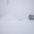 大雪の慶州の古墳群です。寒いけど歩くのは気持ちよかったです。