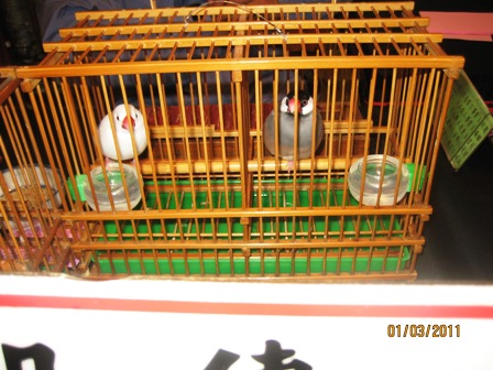 文鳥占い（300元）