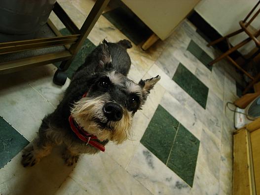 三女だそうです。