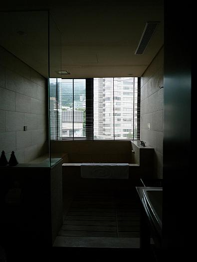 部屋のお風呂はこんな感じ。
逆光でスミマセン。
温泉が出て、朝風呂が気持ち良かった。