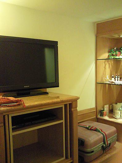 トリプルルームのテレビ周辺です。
SONYのＤＶＤプレーヤーが置いてありました。