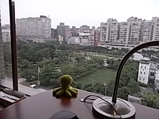 7階のパークビューからの眺め