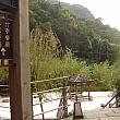玄関前からお庭を望む