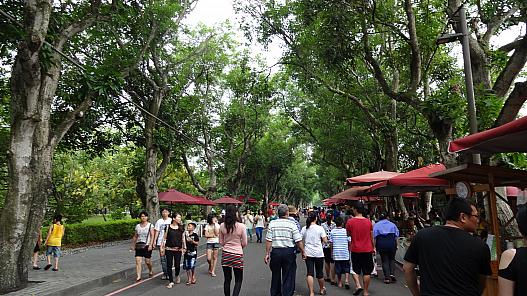 雲林緑のトンネル