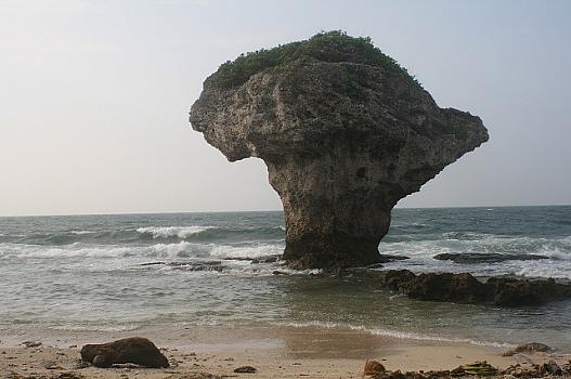 東港からフェリーで小琉球島に渡った港近くにこの島のシンボルの花瓶岩が有ります。