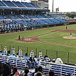 【在台日本人にもおすすめ】台湾プロ野球　楽天モンキーズ　観戦チケット