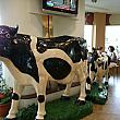 店内には大きな牛さんが！
2015年6月撮影。