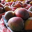 玉井農協の新鮮なマンゴー