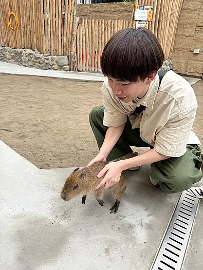 昨日宜蘭の農家で赤ちゃんカピバラを抱っこした！